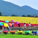 성읍리-13 이미지