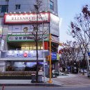 엘리헤어 이미지