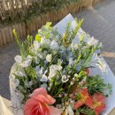 미래타운제2종합시장 | 남대문꽃시장 가격 영업시간 [남대문꽃종합상가] 주말 방문후기 디지털온누리