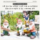 동화나라 애견 이미지