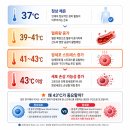케이큐어 | 암 환우들이 고주파 온열기에 관심을 갖는 이유, 닥터K큐어를 알아보세요