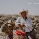 의료법인 실로암 의료재단 | 신암리요양원 의료법인실로암의료복지재단 안전하고 편안한 요양원