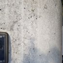 프로카워시 이미지