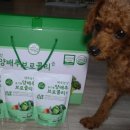 제주농장영농조합법인제주지점 이미지