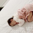 제주도키즈풀빌라빈스 이미지