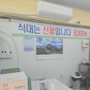 [내돈내산]청주한식뷔페 점심맛집 직장인점심추천 사성식당