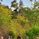 용덕슈퍼 | 용인 가볼만한 곳ㅡ강원도에 온 기분을 느끼게 하는 '석포숲 공원'(가는 방법 첨부)