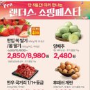 양지-2850 이미지