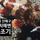 수치 선착장 이미지