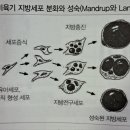 황박사 가축인공수정소 | 근내지방도 9 평균단가 23,000원일 때 35,000원인 소는 어떤 소일까?