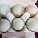 청계 태양광발전소 이미지