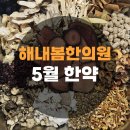 해내봄한의원 네이버블로그