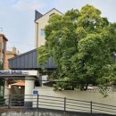 빈스로드 이미지