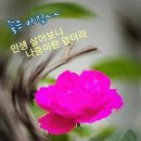 해피데이 이미지