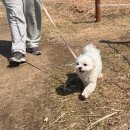 철새공원 화장실 이미지