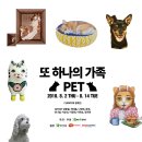 펫(PET)과 함께 이미지