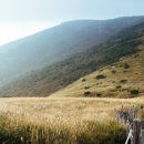 알프스공인중개사사무소 이미지