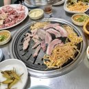 인제뒷고기막창