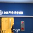 모던동물병원