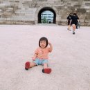 국보약국 | 국보 1호 남대문 숭례문 관람 후기 주차