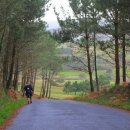 피스테라 이미지