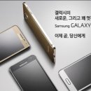 알파 이미지