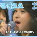같은 마츠다 세이코(일본 아이돌) 노래인데 한국 일본 묘하게 취향 갈리는거 재밌는 달글 이미지