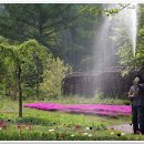 해여림식물원 이미지