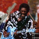 Living in the house of the blues - Luther Allison(루더 앨리슨) 이미지