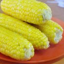 노란옥수수 이미지