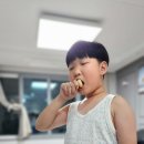 막동농장 이미지