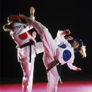 천년태권도 이미지