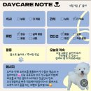 럭키켄넬 | 내돈내산💸 둘리 유치원 가던 첫날 (독투독)