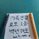 비엔나유치원 | [23.10.24.~27.] 진도와 목포여행, 운림산방과 진도개테마파크, 어바웃더씨(피쉬앤칩스) 후기!!