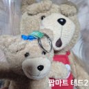 나비마트 | 팝마트 테드2 인형 과 테디베어 인형키링 나비넥타이베어 표정 바꾸면서 놀 수 있어요