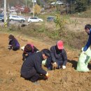 내촌면주민자치센터 이미지