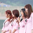 큐코리아 이미지