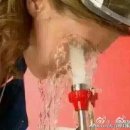 네일팰리스