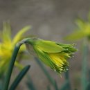 비금정고운정 이미지