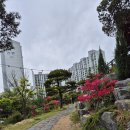 [원주 카페] 베이커리 궁 이용 후기