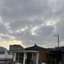 신대길 | 양평 카페 녹원 후기 | 햇살과 고양이가 머무는 평화로운 한옥카페