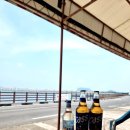 제주목화 이미지