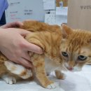 유성준동물병원 이미지