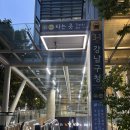 [강남] 분위기까지 사랑스러워지는 마법, ‘스테이뷰티’러블리 펌 추천후기(유진쌤)