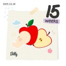 아리랑미용재료 | 최상이었던 임신 중기 나날들(크리스마스 파티, 코엑스 베페 후기, 임신 중 첫 배뭉침, 방광염, 이사)