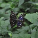 조각공원앞 1 이미지