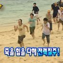 스톤래빗 | [안산 고잔동] 카페 래빗스톤로스터스