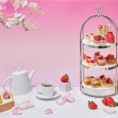 애프터눈가든 이미지