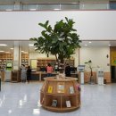 진주시립연암도서관 이미지