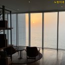 내돈내산 부산호캉스 강력추천 아난티 앳 부산 코브 오션뷰 후기